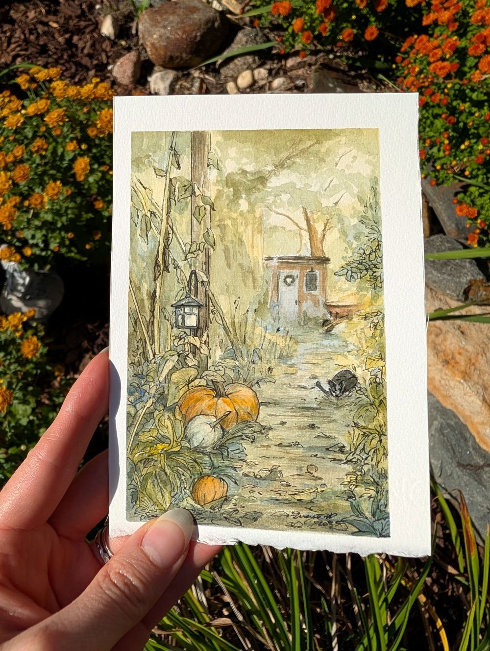 Fairy's garden