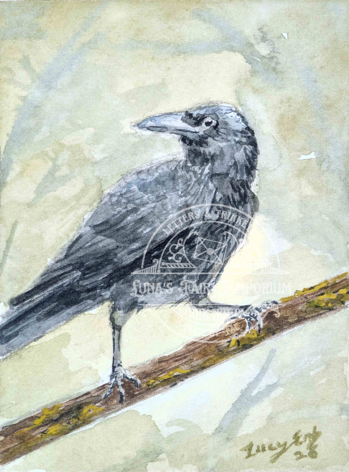Crow