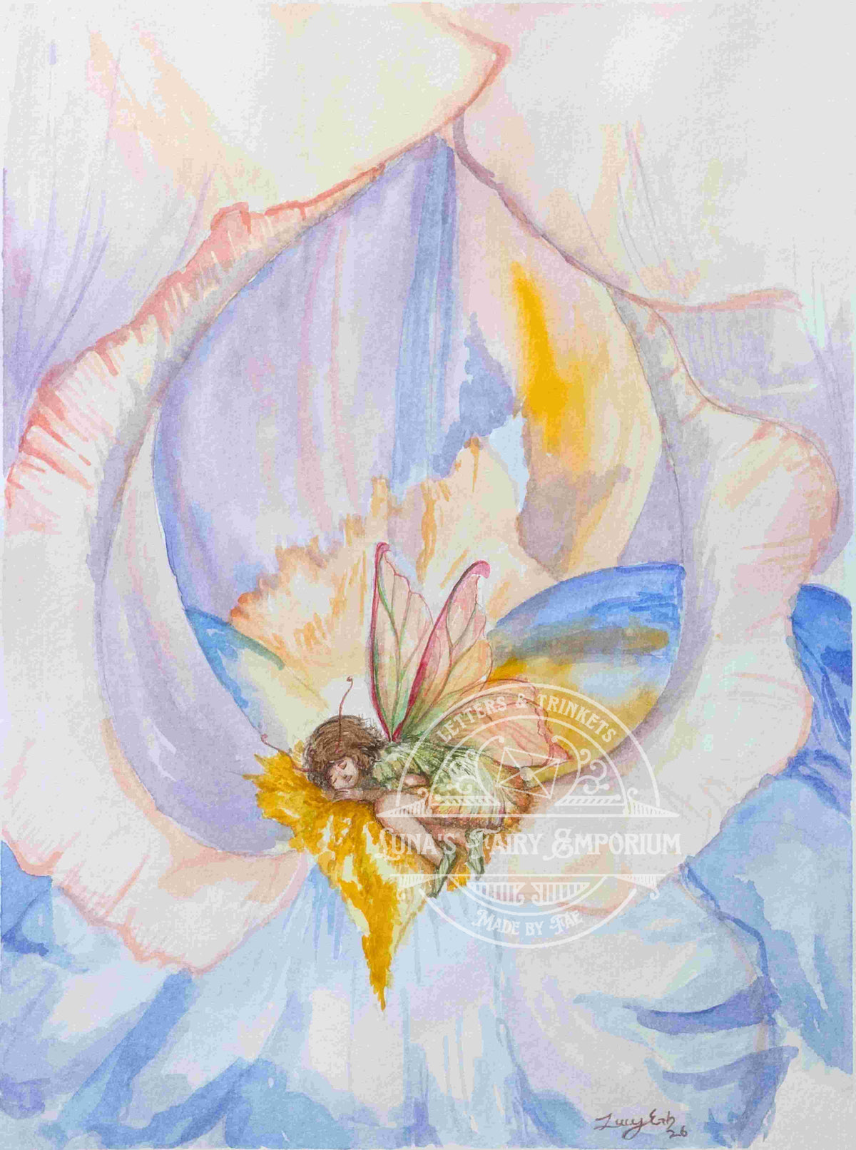Iris Nap
